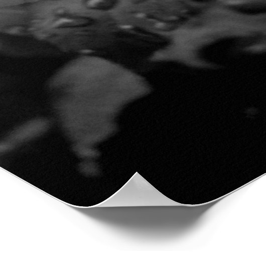 Poster Rose humide (Coin)