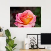 Poster Rose hybride (Bureau à domicile)