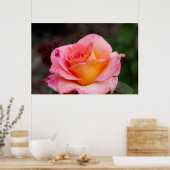 Poster Rose hybride (Cuisine)