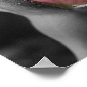 Poster Rose II (Coin)