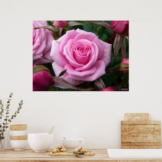 Poster rose Imprimer Beau Art Fleur Imprimer (Cuisine)