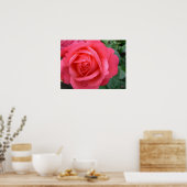 Poster rose Imprimer Belle Fleur Art Imprimer (Cuisine)