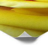 Poster Rose jaune (Coin)