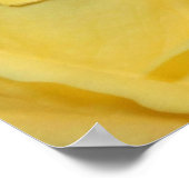Poster rose jaune (Coin)