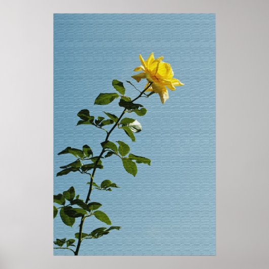 Poster rose jaune (Devant)
