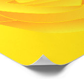 Poster Rose jaune (Coin)