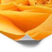 Poster Rose jaune (Coin)