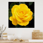 Poster Rose jaune (Cuisine)