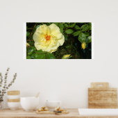 Poster rose jaune (Cuisine)
