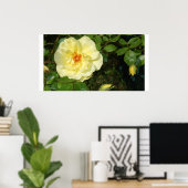 Poster rose jaune (Bureau à domicile)