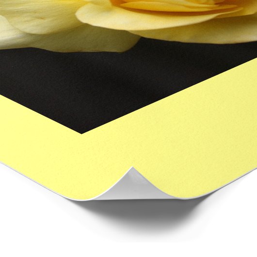 Poster rose jaune (Coin)