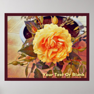 Poster Rose jaune colorée