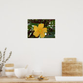 Poster Rose jaune de Sharon Imprimer (Cuisine)