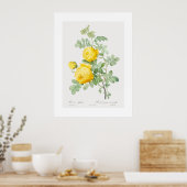 Poster Rose jaune du soufre Art Vintage (Cuisine)