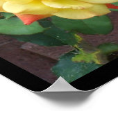 Poster Rose jaune du Texas (Coin)