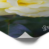 Poster Rose jaune pâle (Coin)