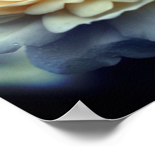 Poster Rose jaune pâle dans miroir en fleurs Abstrait (Coin)