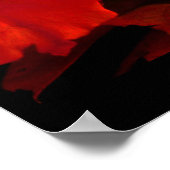 Poster Rose jaune rouge III (Coin)