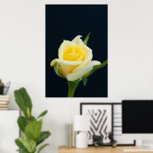 Poster Rose jaune sur l'arrière - plan noir (Bureau à domicile)