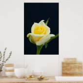 Poster Rose jaune sur l'arrière - plan noir (Cuisine)