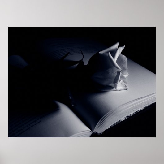 Poster Rose littéraire (Devant)