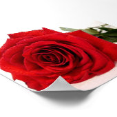 Poster Rose Love Canvas Imprimer (Coin)