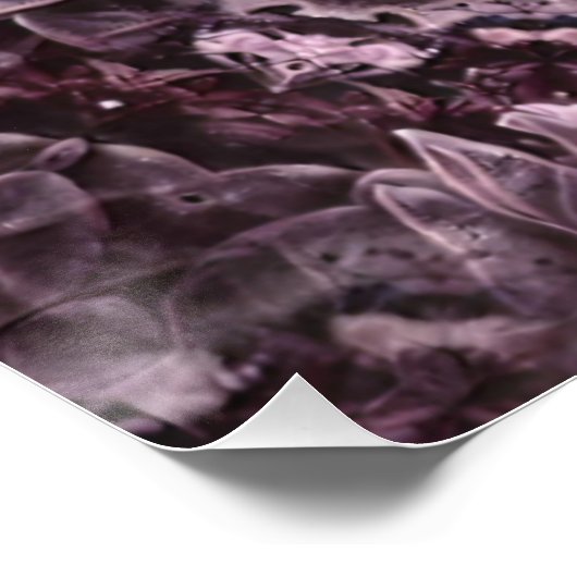 Poster Rose Mandala (Coin)