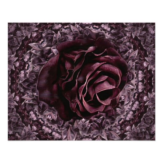 Poster Rose Mandala  (Devant)