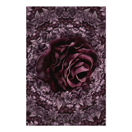 Poster Rose Mandala (Devant)