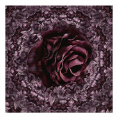 Poster Rose Mandala (Devant)