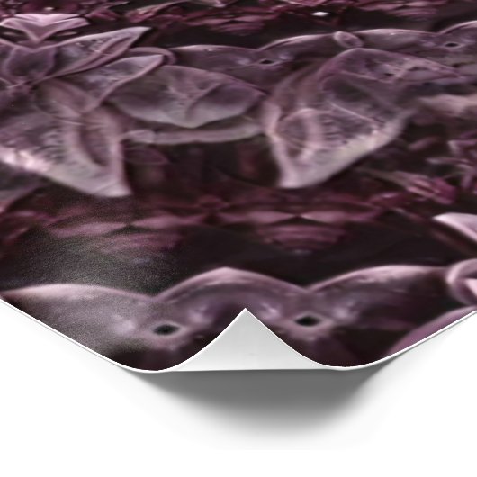 Poster Rose Mandala (Coin)