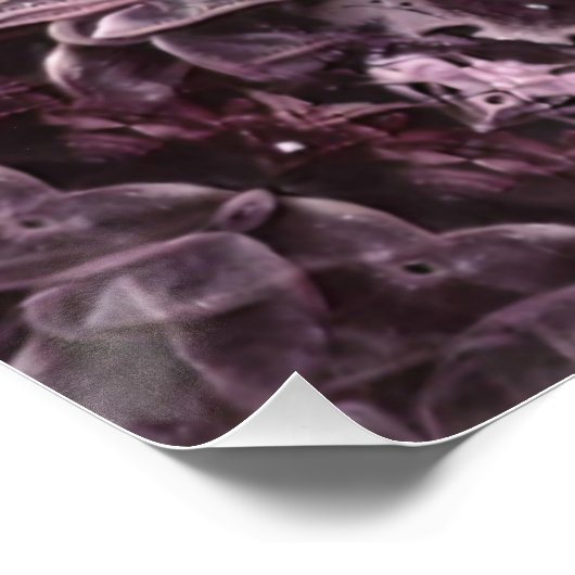 Poster Rose Mandala (Coin)