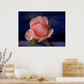 Poster Rose minuit (Cuisine)