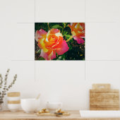 POSTER ROSE MULTI-COLORÉ (Cuisine)