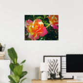 POSTER ROSE MULTI-COLORÉ (Bureau à domicile)