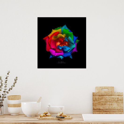 Poster Rose multicolore (Cuisine)