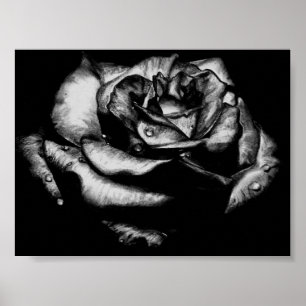 Poster Rose noir
