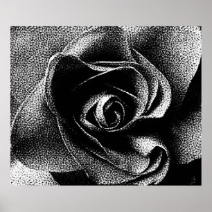 POSTER ROSE NOIR