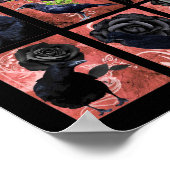 Poster Rose Noir Ravages Et Corbeaux Art Gothique (Coin)