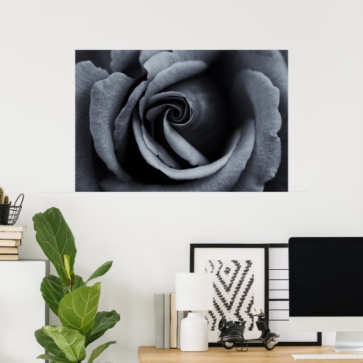 Poster Rose noire et blanche (Bureau à domicile)