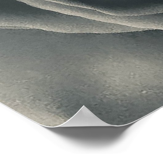 Poster Rose noire et blanche (Coin)