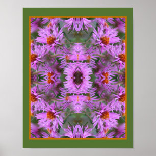 Poster Rose Nouvelle-Angleterre Aster Flowers Abstrait