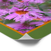 Poster Rose Nouvelle-Angleterre Aster Flowers Abstrait (Coin)
