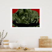 Poster Rose olive avec Arrière - plan texturé Anegelhair  (Cuisine)