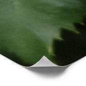 Poster rose orange (Coin)