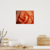 Poster Rose orange (Cuisine)