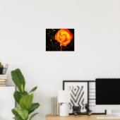 Poster Rose orange (Bureau à domicile)
