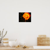 Poster Rose orange (Cuisine)