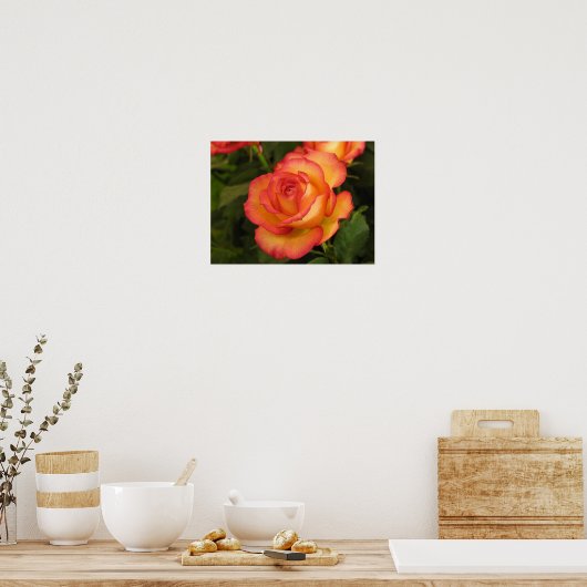 Poster Rose orange (Cuisine)