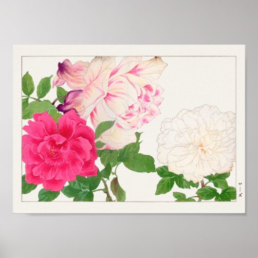 Poster Rose par Tanigami Konan (Devant)